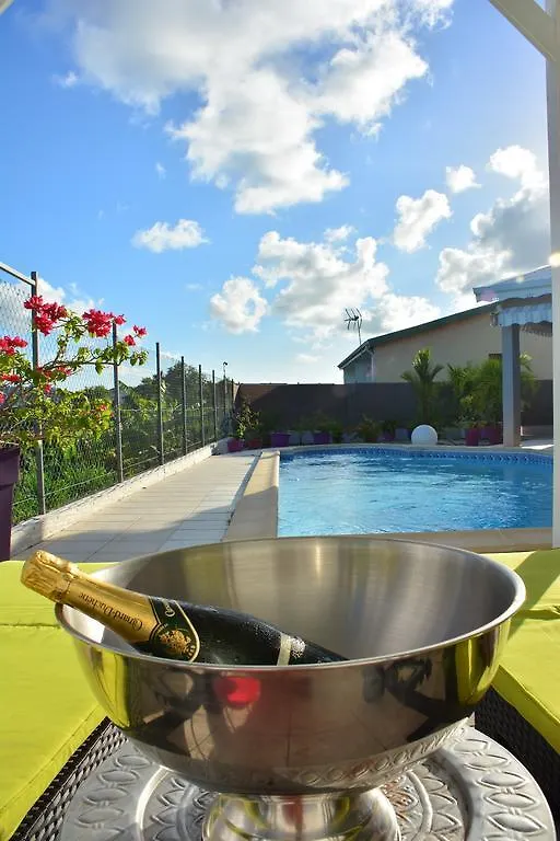 Villa Amethyste Avec Grande Piscine Privee, Jardin Clos, Parking Prive Le Robert