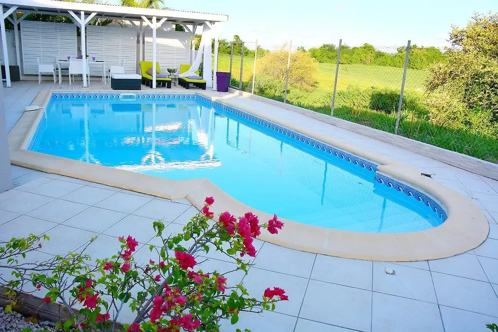 Villa Amethyste Avec Grande Piscine Privee, Jardin Clos, Parking Prive Le Robert
